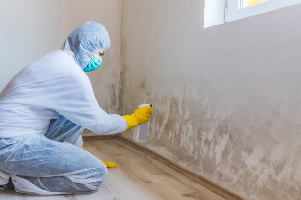 Best Mold Removal Process  in Guymon, OK