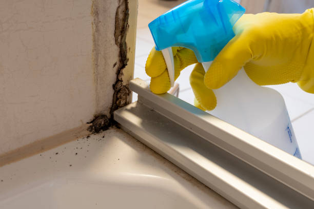 Best Toxic Mold Removal  in Guymon, OK