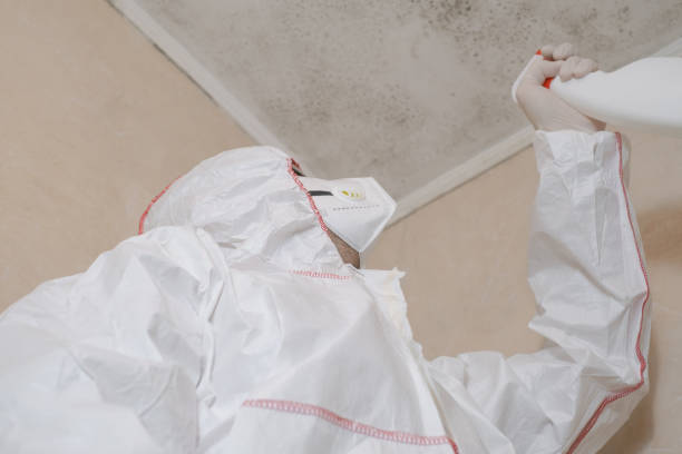 Trusted Guymon, OK Mold Removal Experts