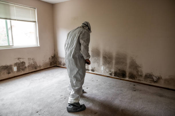 Best Mold Cleaning Services  in Guymon, OK