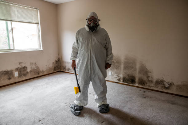 Best Toxic Mold Removal  in Guymon, OK