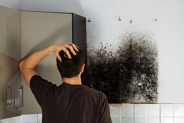 Best Home Mold Removal  in Guymon, OK